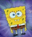 sponge bob