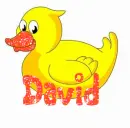 david duck