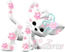 kitty