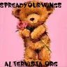 teddy