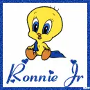 Baby Tweety with the name Ronnie Jr