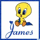 Baby Tweety with the name James