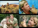 steve