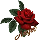 angel rose