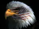 US Eagle