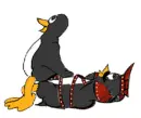 Penguins