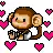 I Love Monkeys