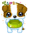 Hungry Puppy :(