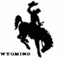 wyoming cowboy