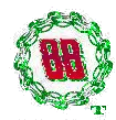 dale jr