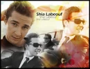 shia labeouf
