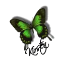 Kirsten color change butterfly