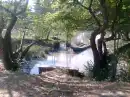 beautiful scene