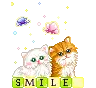Kitten Smile