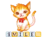 smile kitten