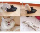 powerful shoe