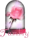 Tammy flower in a globe