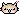 cute kitty
