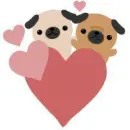 pups
