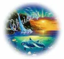 Chrissy Dolphin