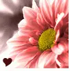 flashy pretty pic of my eyes, shoes and a beautiful flower