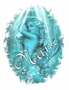 NANC
