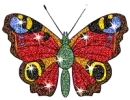cute butterfly