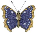 blue butterfly