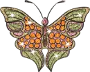 butterfly