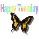 Happy Tuesday