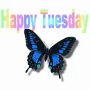 Happy Tuesday