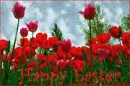 Happy Easter 