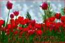 Happy Spring