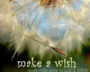 Make A Wish