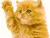 cat 1
