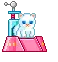 cat playing