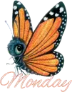 Monday butterfly