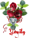 Yanily
