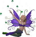 fairy