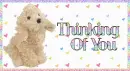 Thinking Of You