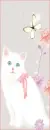 white kitty