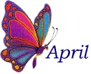aprils butterfly