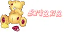 brianas bear