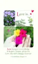 LOVE IS