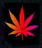 420