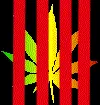 420