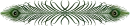 Peacock feather