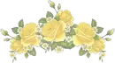 Yellow roses