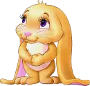 Bunny