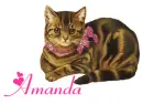 Amanda